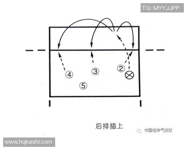 武汉排球队控制打法深度分析与战术解析