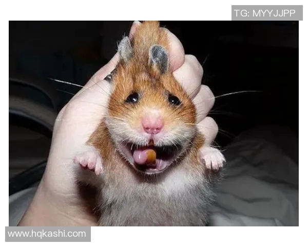 足球明星搞笑囧脸瞬间大盘点让你捧腹大笑的精彩瞬间合集